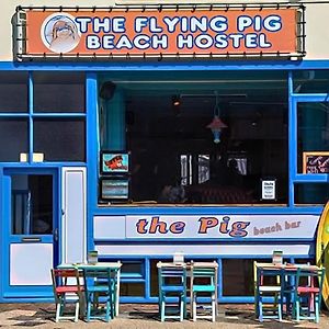 The Flying Pig Beach Hostel